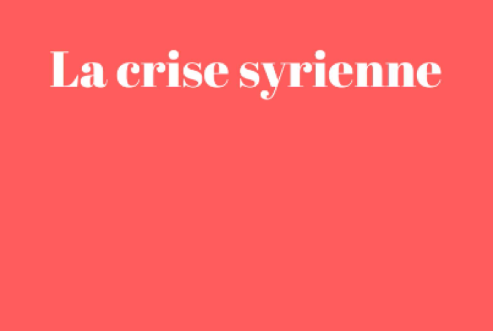 Livre La crise syrienne de Shahid Hussain Raja traduit par Sophie Rifaut